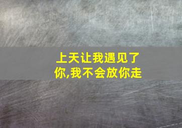 上天让我遇见了你,我不会放你走