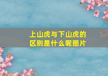 上山虎与下山虎的区别是什么呢图片