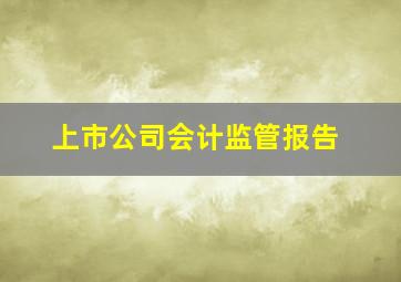 上市公司会计监管报告