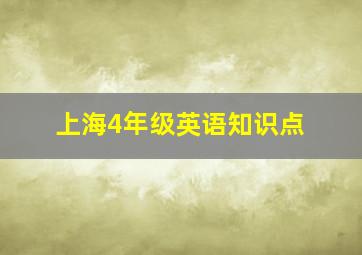 上海4年级英语知识点