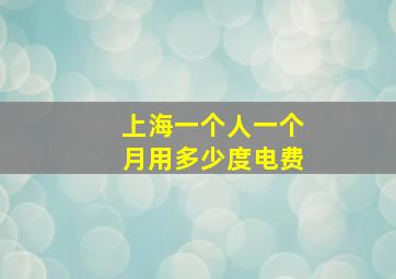 上海一个人一个月用多少度电费