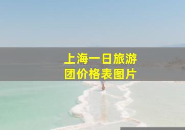 上海一日旅游团价格表图片