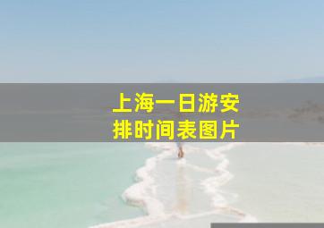 上海一日游安排时间表图片