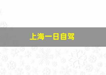 上海一日自驾