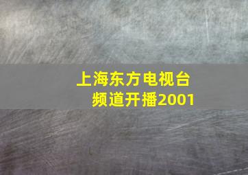 上海东方电视台频道开播2001