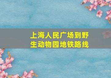 上海人民广场到野生动物园地铁路线