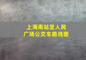 上海南站至人民广场公交车路线图