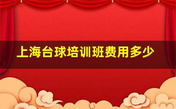 上海台球培训班费用多少