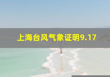 上海台风气象证明9.17