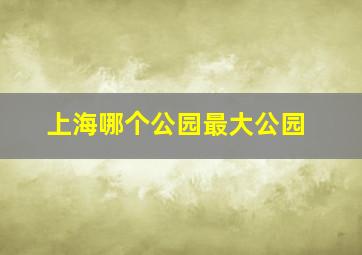 上海哪个公园最大公园