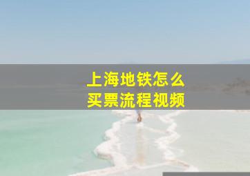 上海地铁怎么买票流程视频