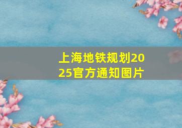 上海地铁规划2025官方通知图片