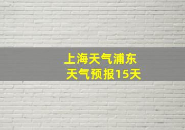 上海天气浦东天气预报15天