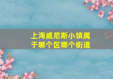 上海威尼斯小镇属于哪个区哪个街道