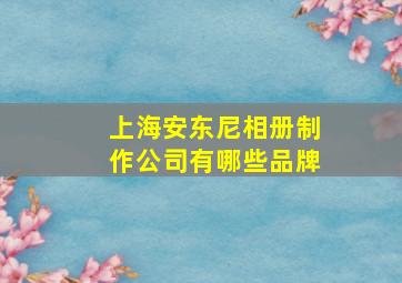 上海安东尼相册制作公司有哪些品牌