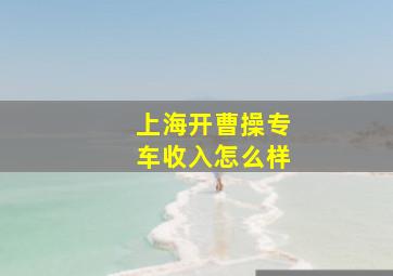 上海开曹操专车收入怎么样