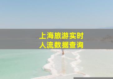 上海旅游实时人流数据查询