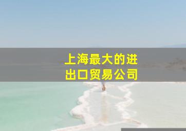 上海最大的进出口贸易公司