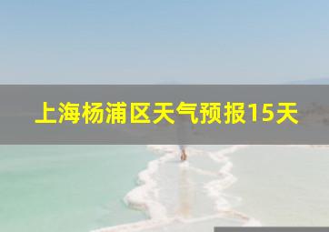 上海杨浦区天气预报15天