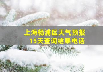 上海杨浦区天气预报15天查询结果电话