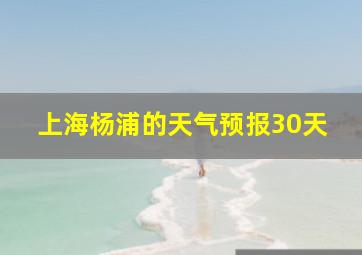 上海杨浦的天气预报30天