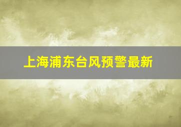 上海浦东台风预警最新