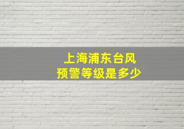 上海浦东台风预警等级是多少