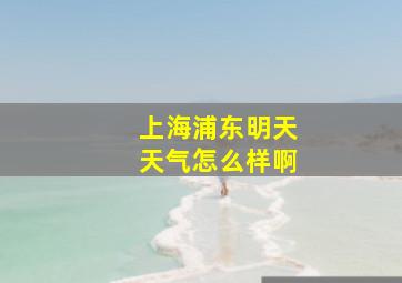 上海浦东明天天气怎么样啊