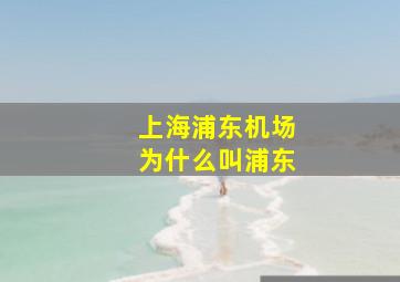 上海浦东机场为什么叫浦东