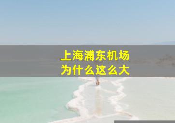 上海浦东机场为什么这么大