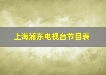 上海浦东电视台节目表