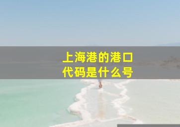 上海港的港口代码是什么号