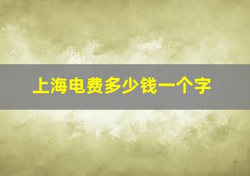 上海电费多少钱一个字