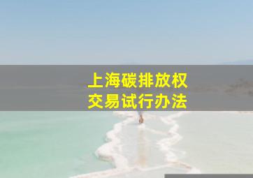 上海碳排放权交易试行办法