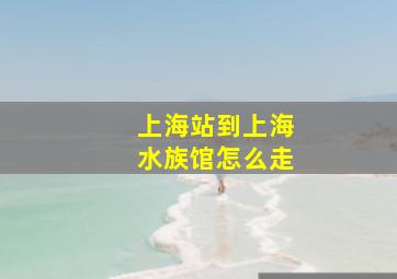 上海站到上海水族馆怎么走