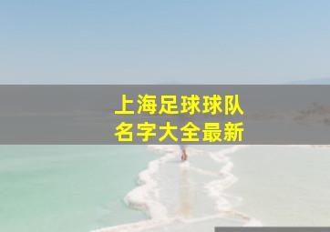 上海足球球队名字大全最新