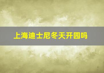 上海迪士尼冬天开园吗