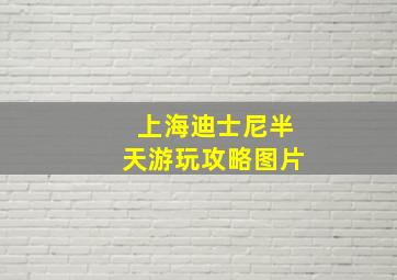 上海迪士尼半天游玩攻略图片