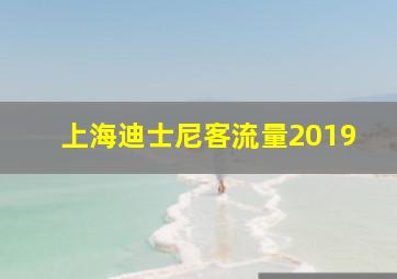 上海迪士尼客流量2019