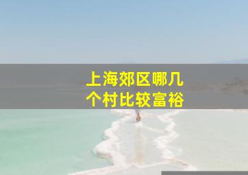 上海郊区哪几个村比较富裕