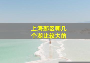 上海郊区哪几个湖比较大的