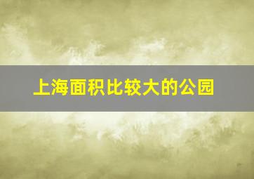 上海面积比较大的公园