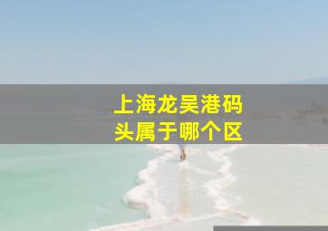 上海龙吴港码头属于哪个区