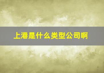 上港是什么类型公司啊