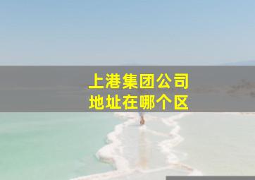 上港集团公司地址在哪个区