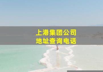 上港集团公司地址查询电话