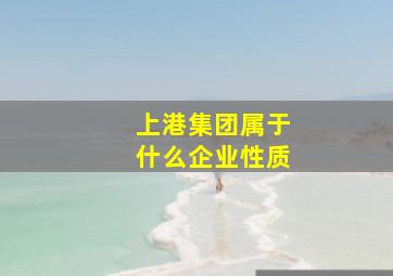 上港集团属于什么企业性质