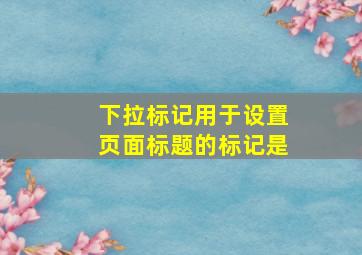 下拉标记用于设置页面标题的标记是