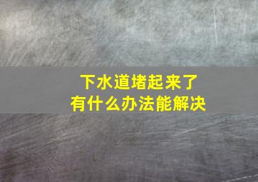 下水道堵起来了有什么办法能解决