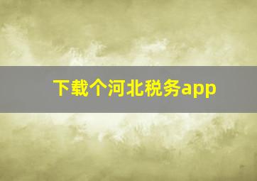 下载个河北税务app